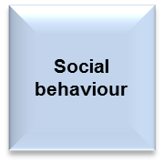 Social behaviour: poor judgement or inappropriate behaviour