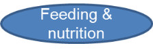 feeding and nutrition link